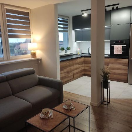 Apartament Z Widokiem Na Miasto Гливице Екстериор снимка