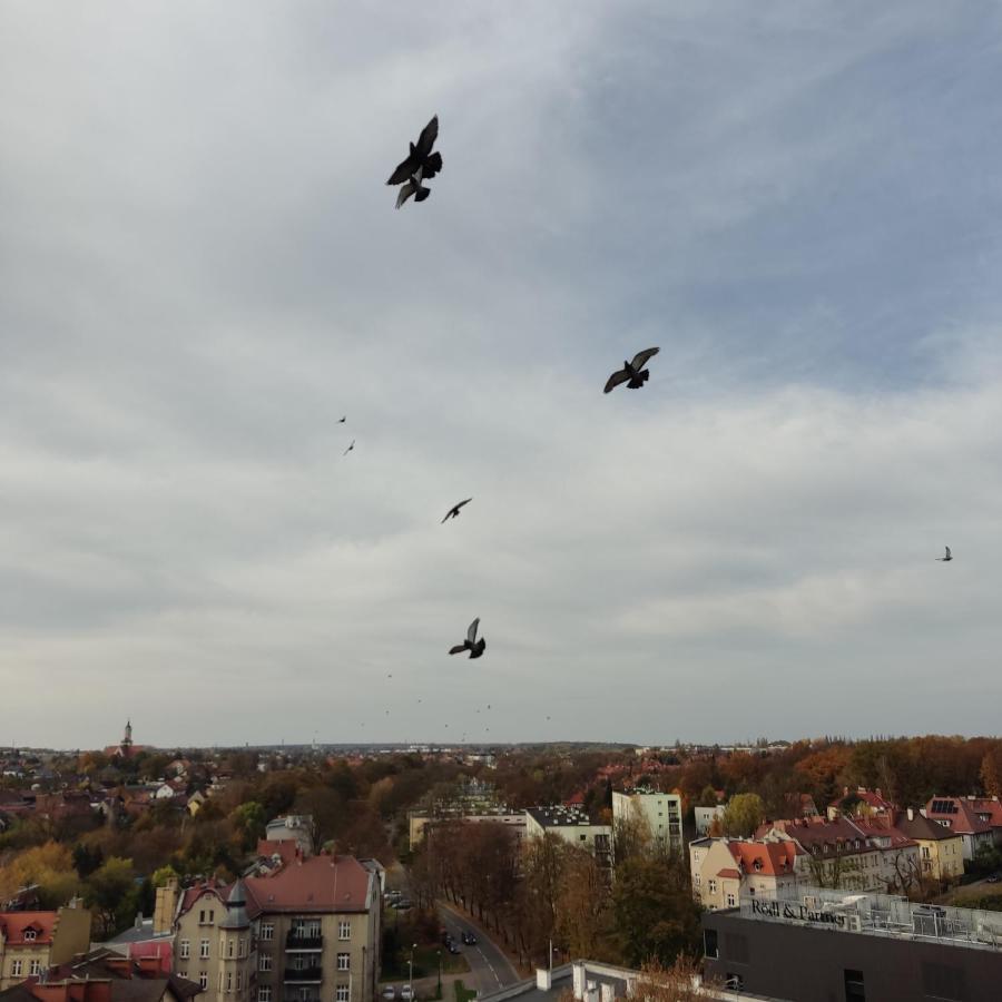 Apartament Z Widokiem Na Miasto Гливице Екстериор снимка